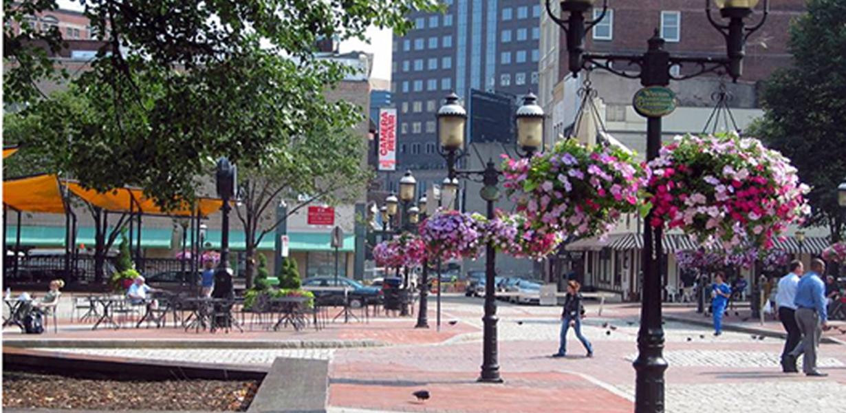LAMP POST PLANTER SYSTEMS